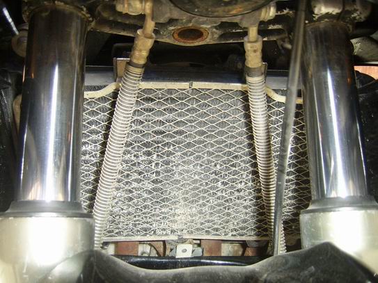 SSA40736.jpg