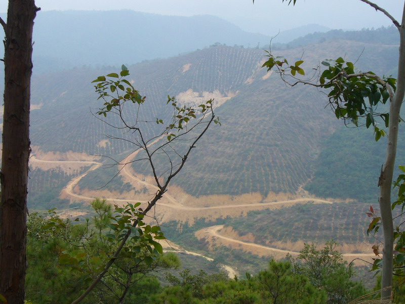 P1090066_缩小大小.JPG