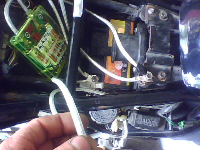 IMG0236A.jpg