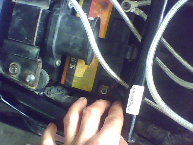 IMG0239A.jpg