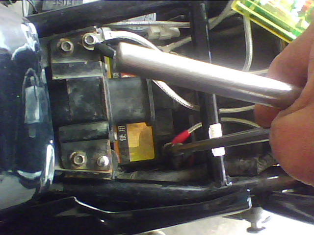 IMG0243A.jpg