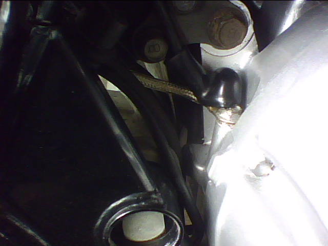 IMG0233A.jpg