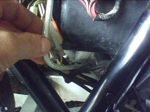 IMG0234A.jpg
