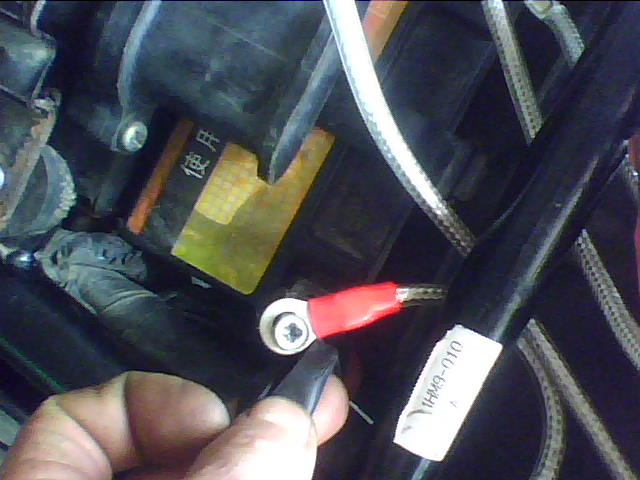 IMG0241A.jpg