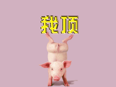 20081001_125a9631a499e9815459ZXeEdSqicjCQ.gif
