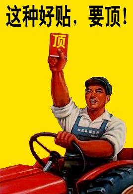 2005325135923533.jpg