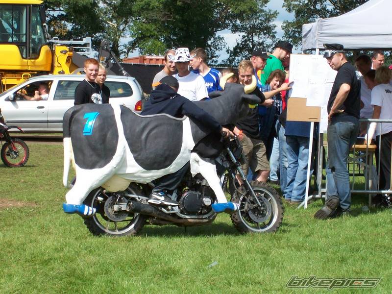 bikepics-1484418-800.jpg