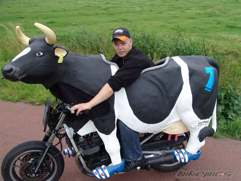 bikepics-1484424-800.jpg