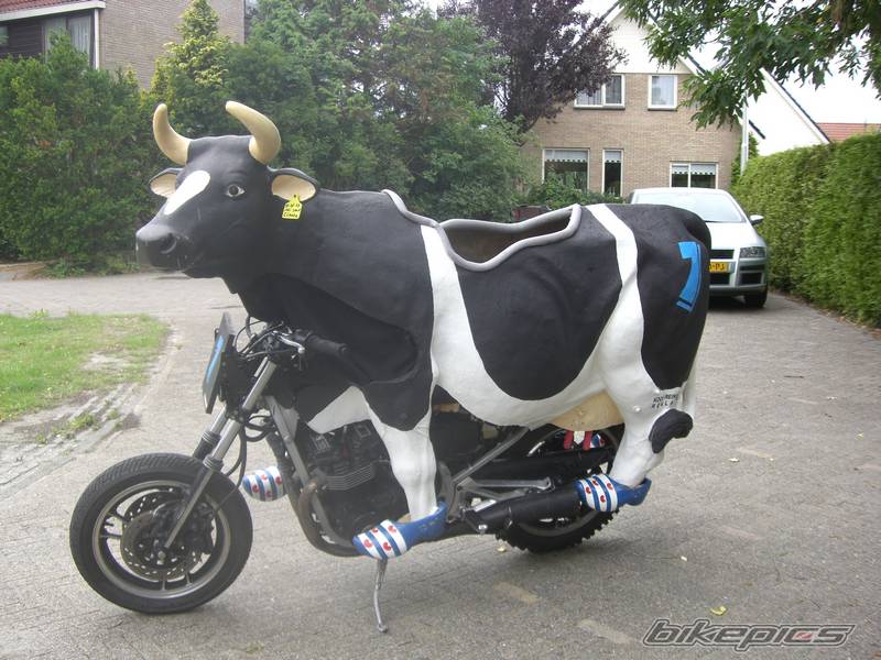 bikepics-1484423-800.jpg