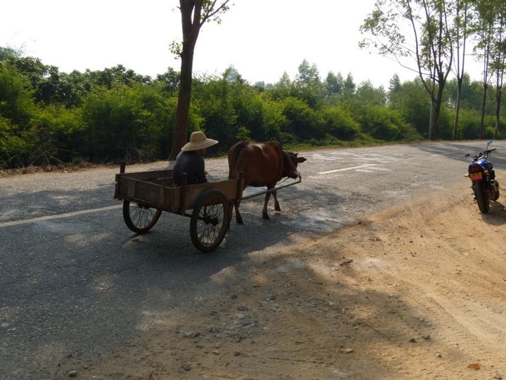 DSCN1375.jpg