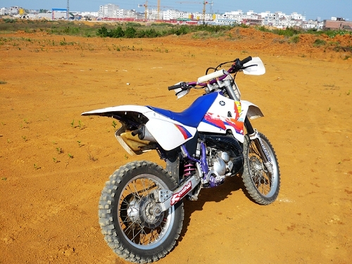 P1150649.jpg