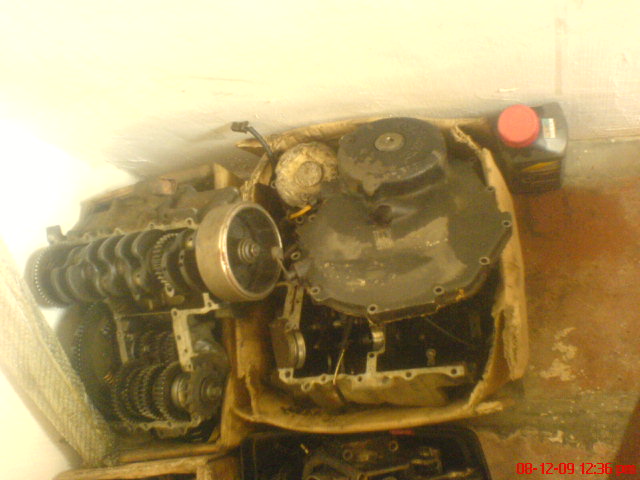 DSC02724.JPG