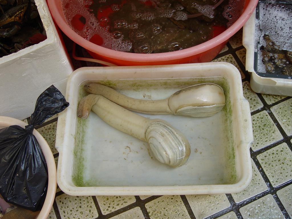 DSC07056.JPG