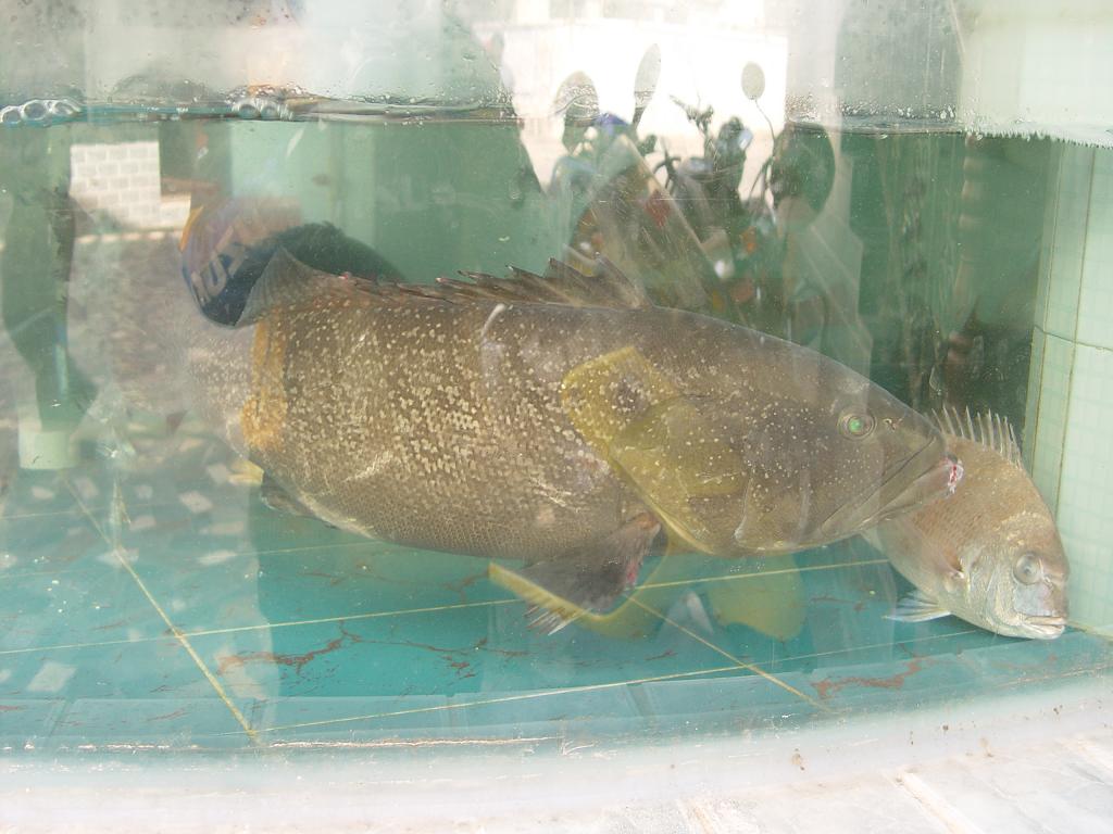 DSC07038.JPG
