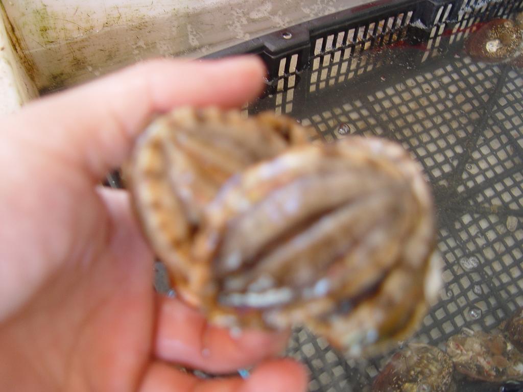 DSC07059.JPG