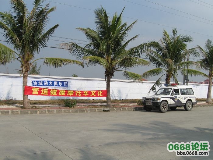 201_98274_cd4ee067b103ef9.jpg