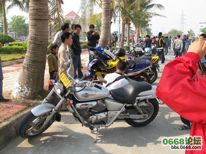 201_98274_9d215cd2dc181b1.jpg