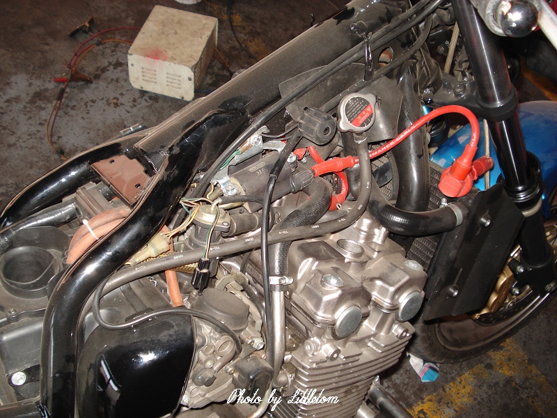 nEO_IMG_DSC06949.jpg