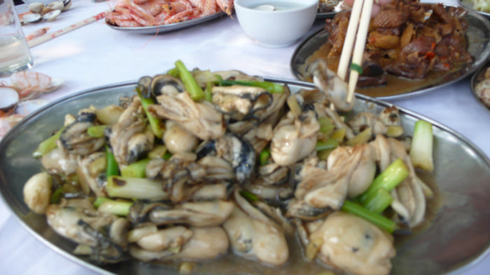 P1060229.jpg