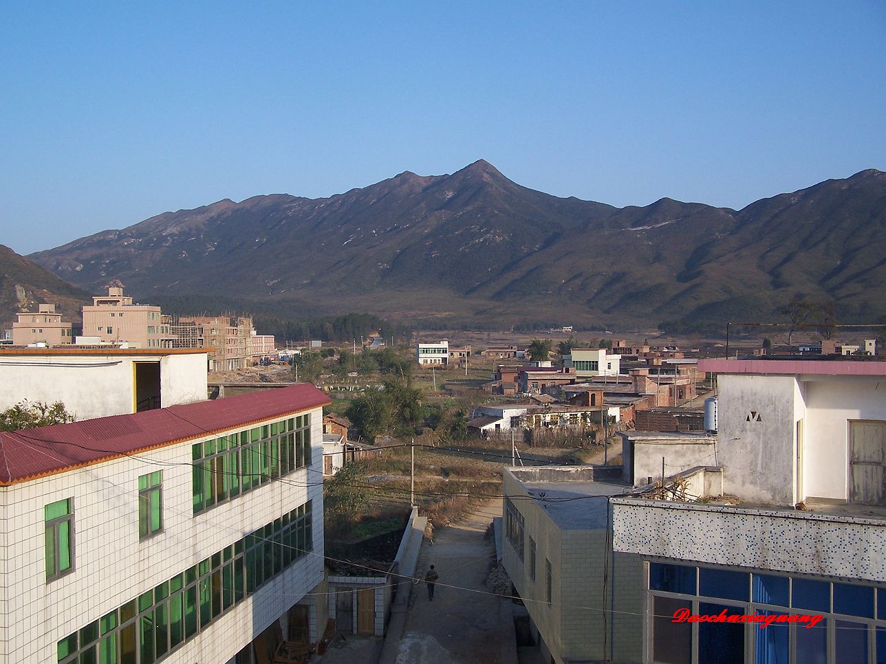 大布的早晨。。。