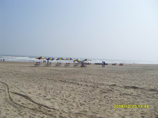 SDC11229.jpg