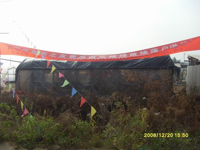 SDC11288.jpg
