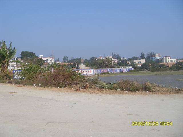 SDC11286.jpg