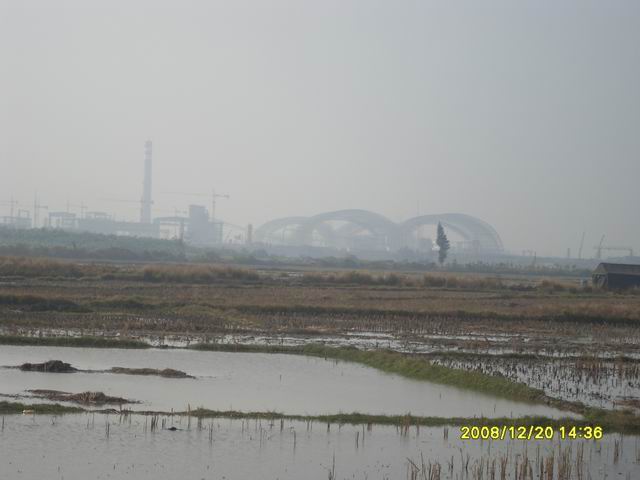 SDC11268.jpg