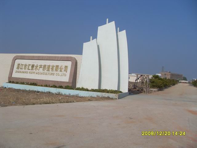 SDC11261.jpg
