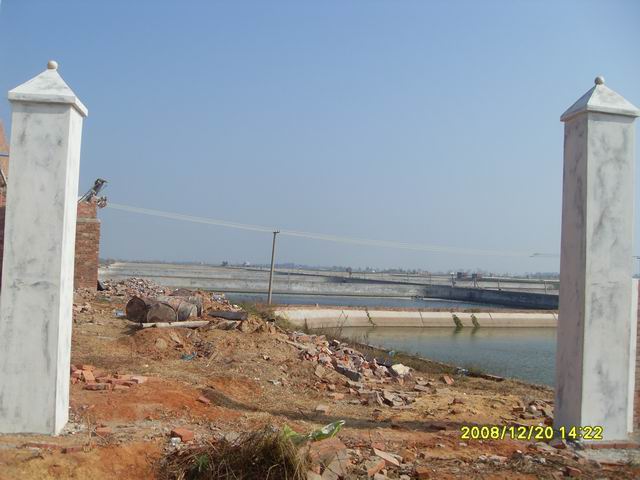 SDC11260.jpg