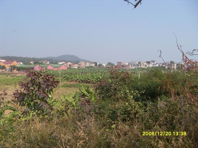 SDC11224.jpg