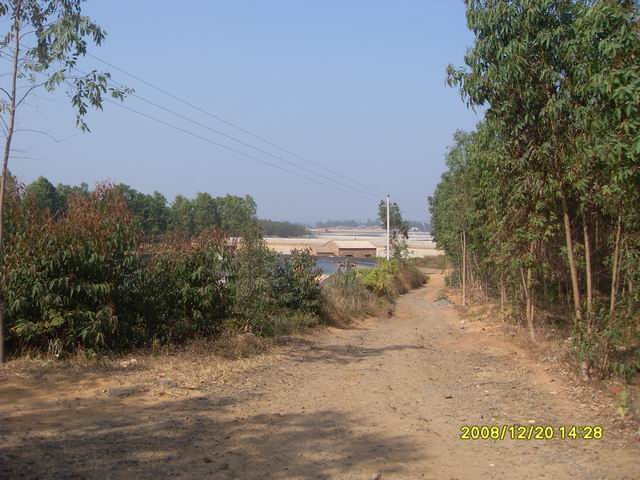 SDC11263.jpg