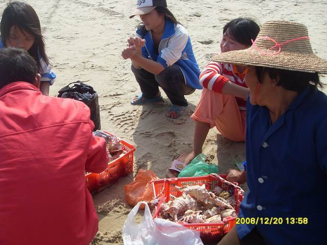 SDC11240.jpg