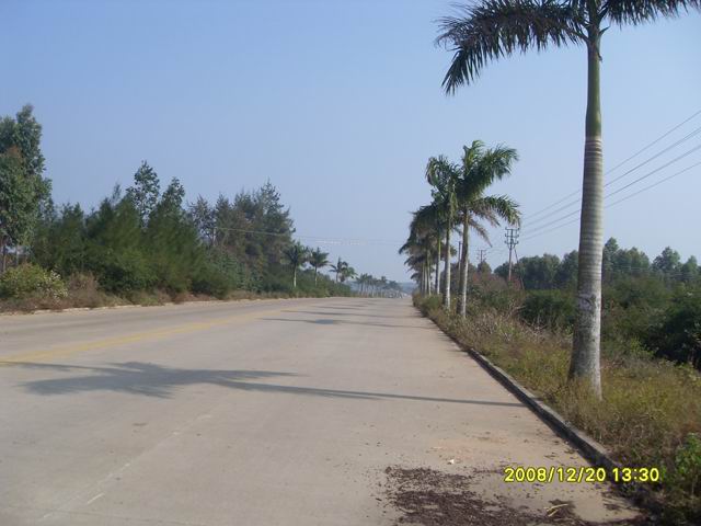 东海岛中线公路龙海天段
