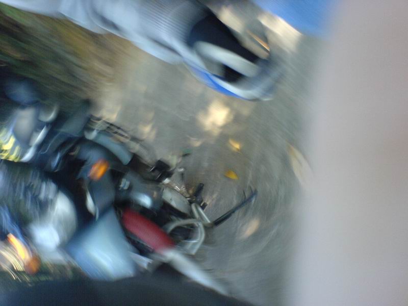 009.JPG