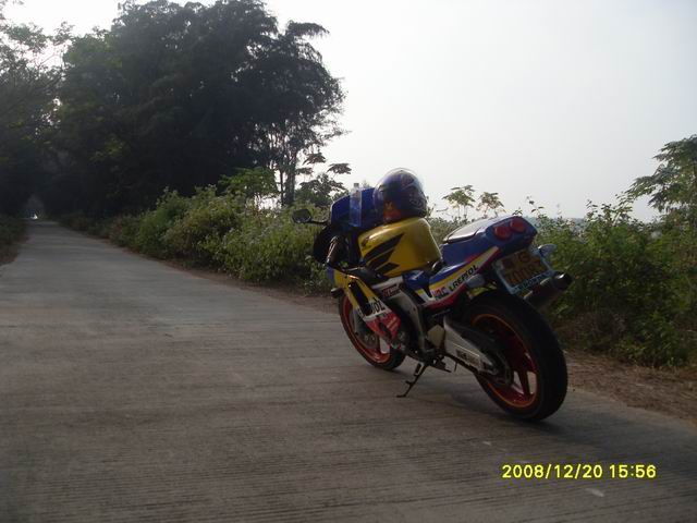 SDC11295.jpg