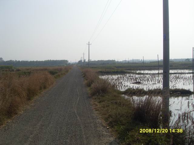 SDC11271.jpg