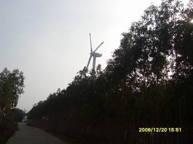 SDC11291.jpg