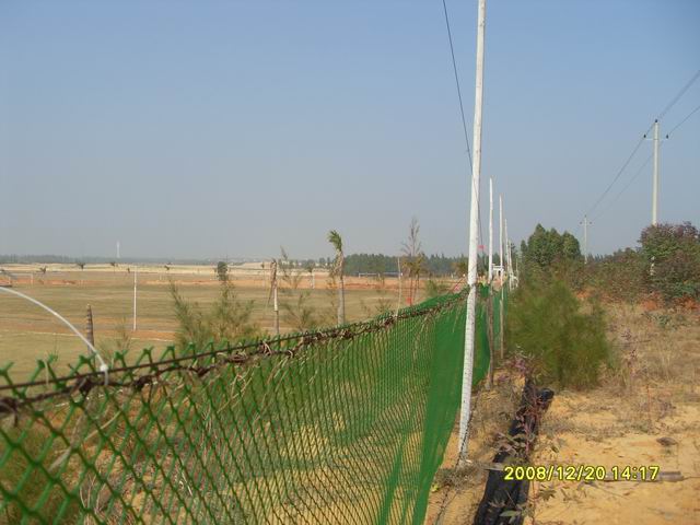 SDC11254.jpg