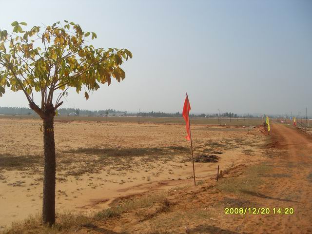 SDC11259.jpg