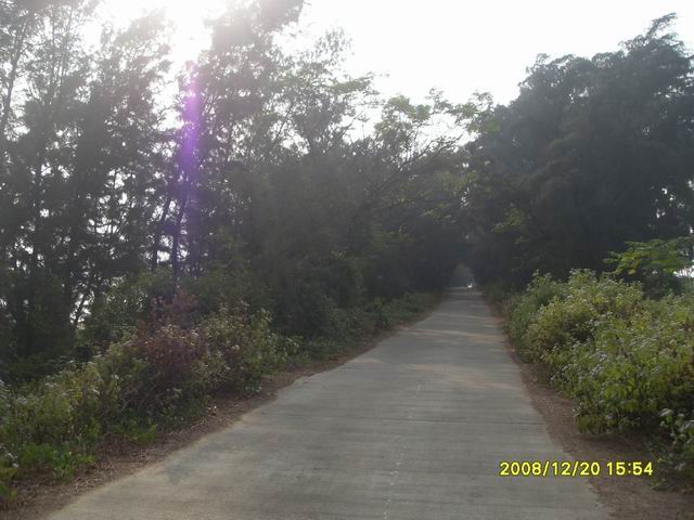SDC11294.jpg