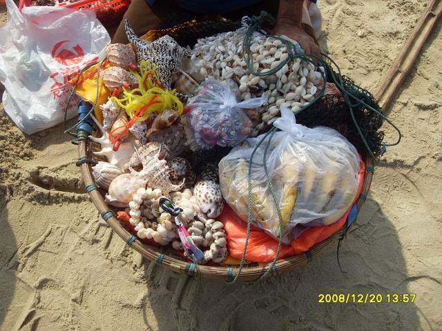 SDC11239.jpg