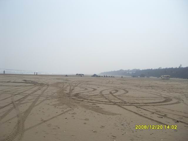SDC11245.jpg