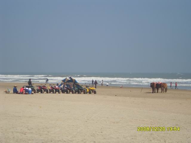 SDC11236.jpg