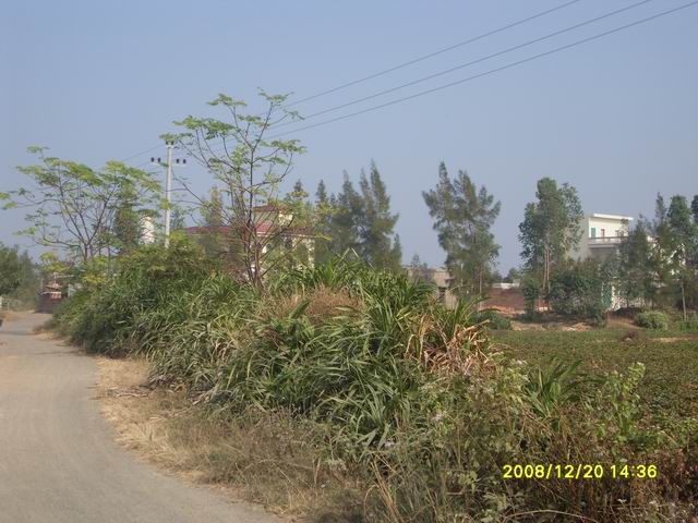 SDC11269.jpg