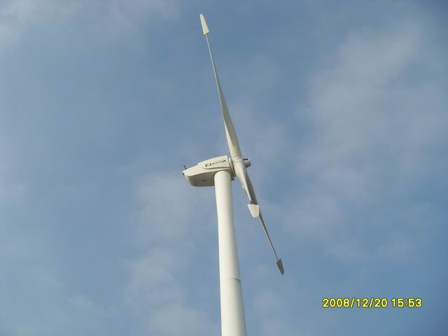 SDC11293.jpg