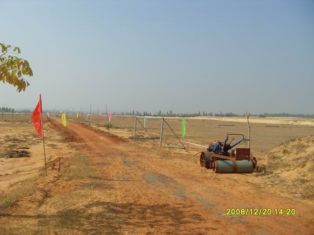 SDC11258.jpg