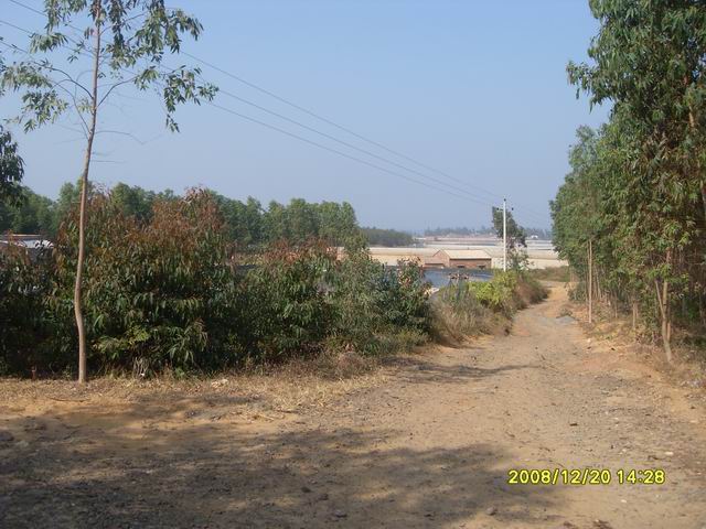 SDC11264.jpg