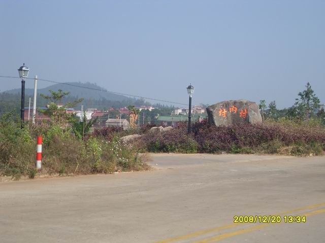 SDC11220.jpg
