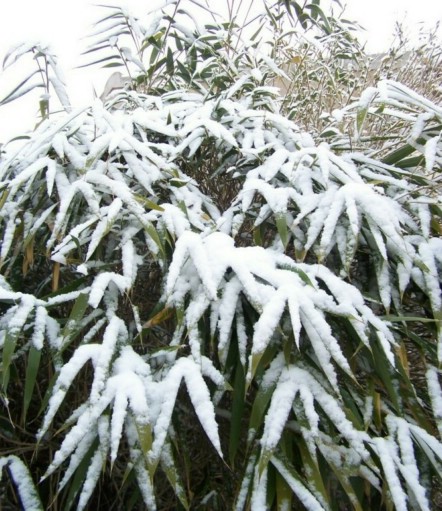100_3554.JPG